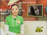 新闻袋袋裤 新闻袋袋裤 2010年 第24期