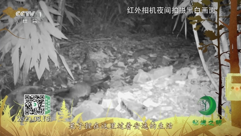 秘境之眼 《秘境之眼》 果子狸 20220601