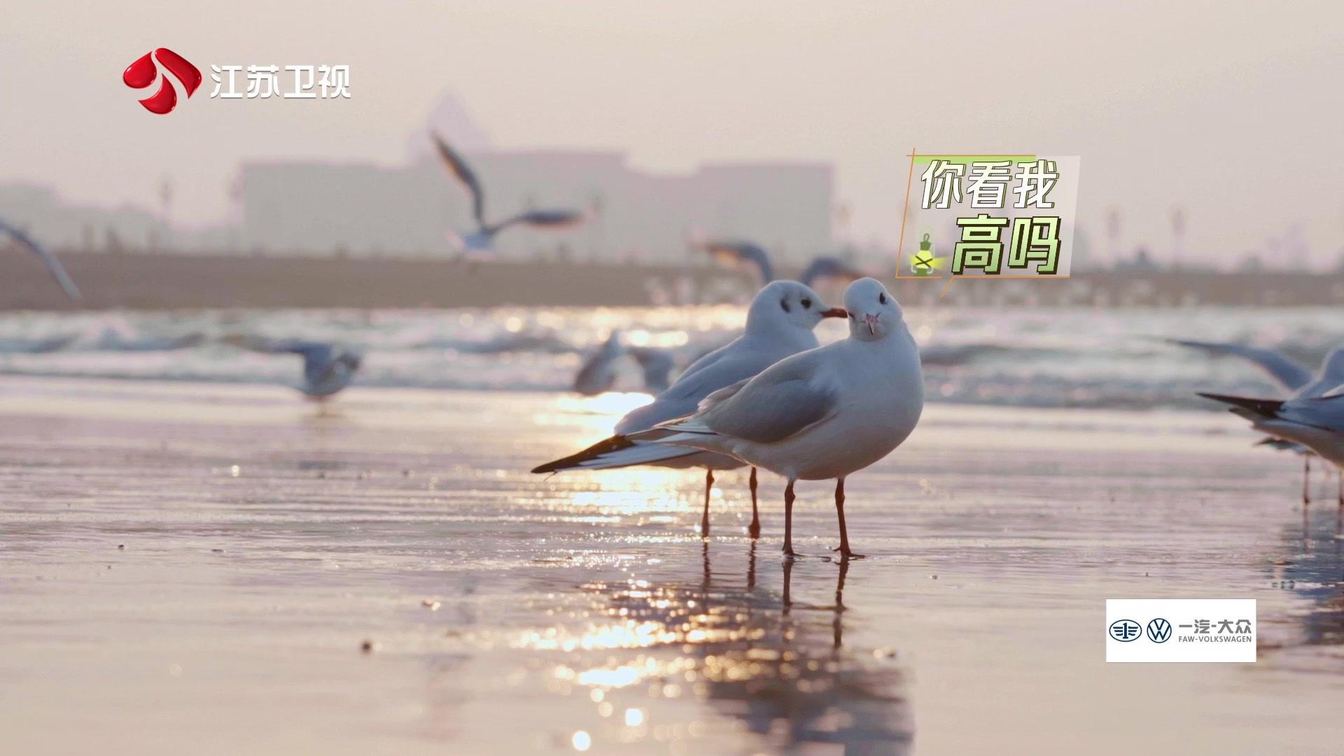 此刻，向远方 《此刻，向远方》第8期