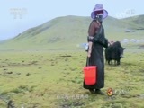 中华民族 《中华民族》 20180820 一江清水向东流 第三集 色彩