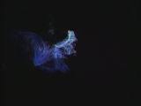 科隆群岛上的嗜血鸟（上）[世界纪录电影长廊]