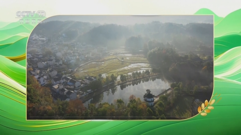 《丰收地图》 20250618 安徽旌德篇 打开旌德的N种方式