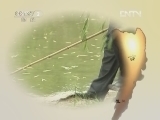 生财有道 [生财有道]钓来的鳄鱼财富(20120612)