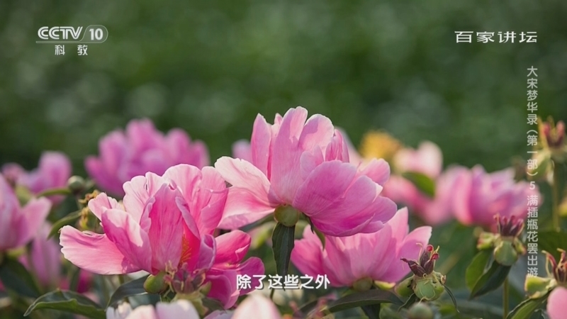 百家讲坛 《百家讲坛》 20240214 大宋梦华录（第一部） 5 满插瓶花罢出游