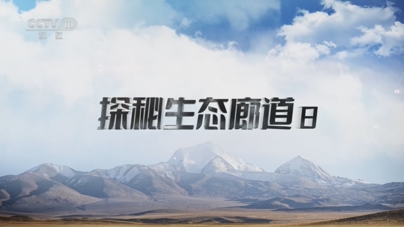 《地理·中国》 20260525 探秘生态廊道8