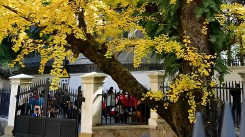 美丽乡村20210101