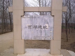 经典传奇 历史真相大揭秘 贾湖怪骨之谜