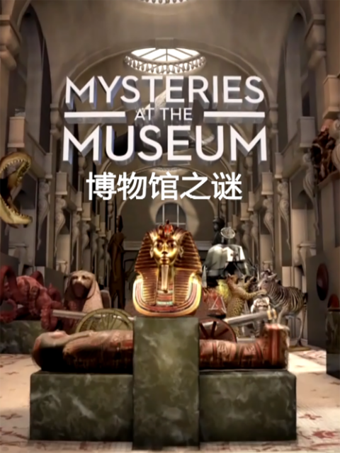 博物馆之谜第15季
