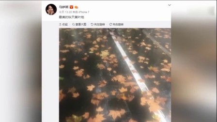 嘻嘻娱乐 2017 11月 马伊琍外套重复穿朴素又率性 和她的短发更配了 171125
