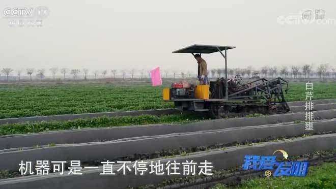 我爱发明 《我爱发明》 20200113 白芹排排壅