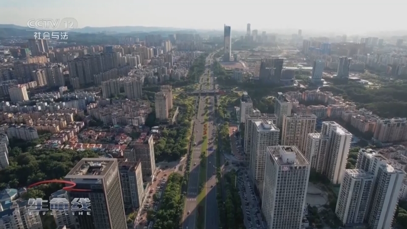 生命线 《生命线》 20240805