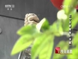 今日说法 《今日说法》 20161010 三个月的娃娃上法庭