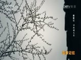 国家记忆 《国家记忆》 20161129 《剿匪记》系列 第三集 活捉谢文东