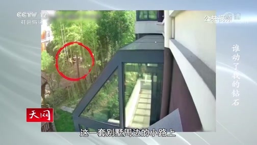 天网 《天网》 20200615 谁动了我的钻石