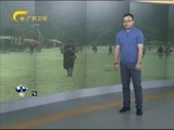 新闻夜总汇 《新闻大通道》 20160815