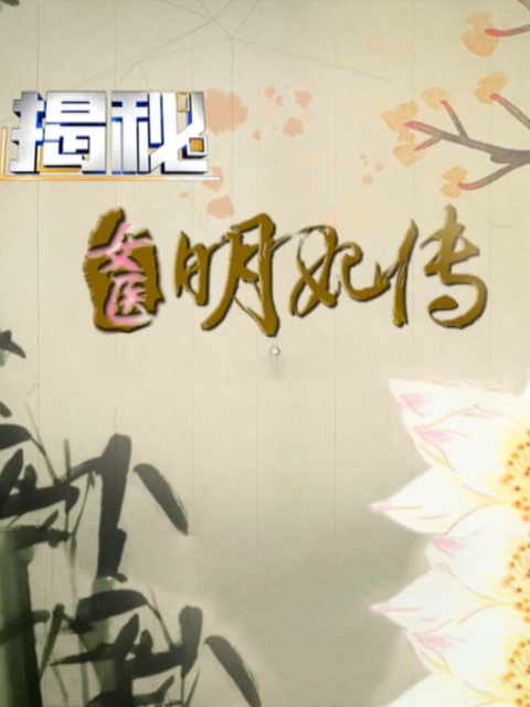 明妃传 海报
