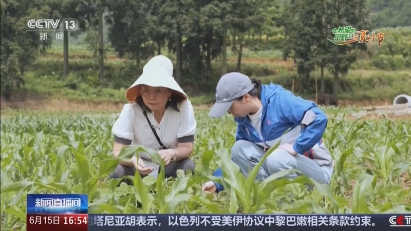 《新闻直播间》 20260615 16:00