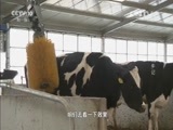 我爱发明 《我爱发明》 20160510 刷牛记