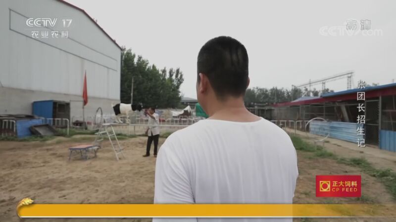 三农群英汇 《三农群英汇》 20201005 张团长招生记