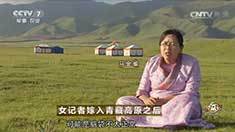 致富经 [致富经]女记者嫁入青藏高原之后 20160907