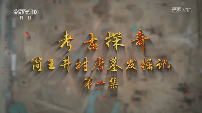 探索发现 《探索·发现》 20260706 考古探奇：简王井村唐墓发掘记（1）
