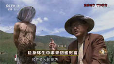 致富经 [致富经]险象环生中求来甜蜜财富 20160729