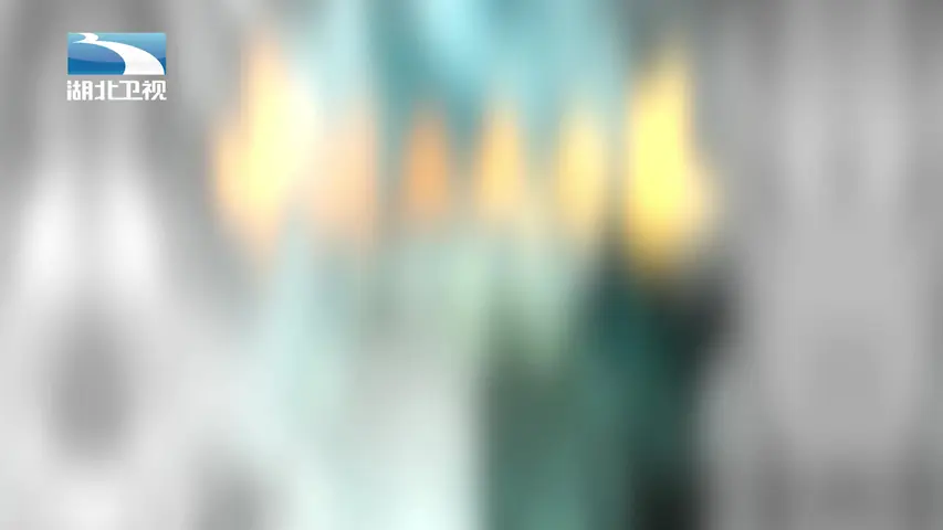 大揭秘 《大揭秘》第42集