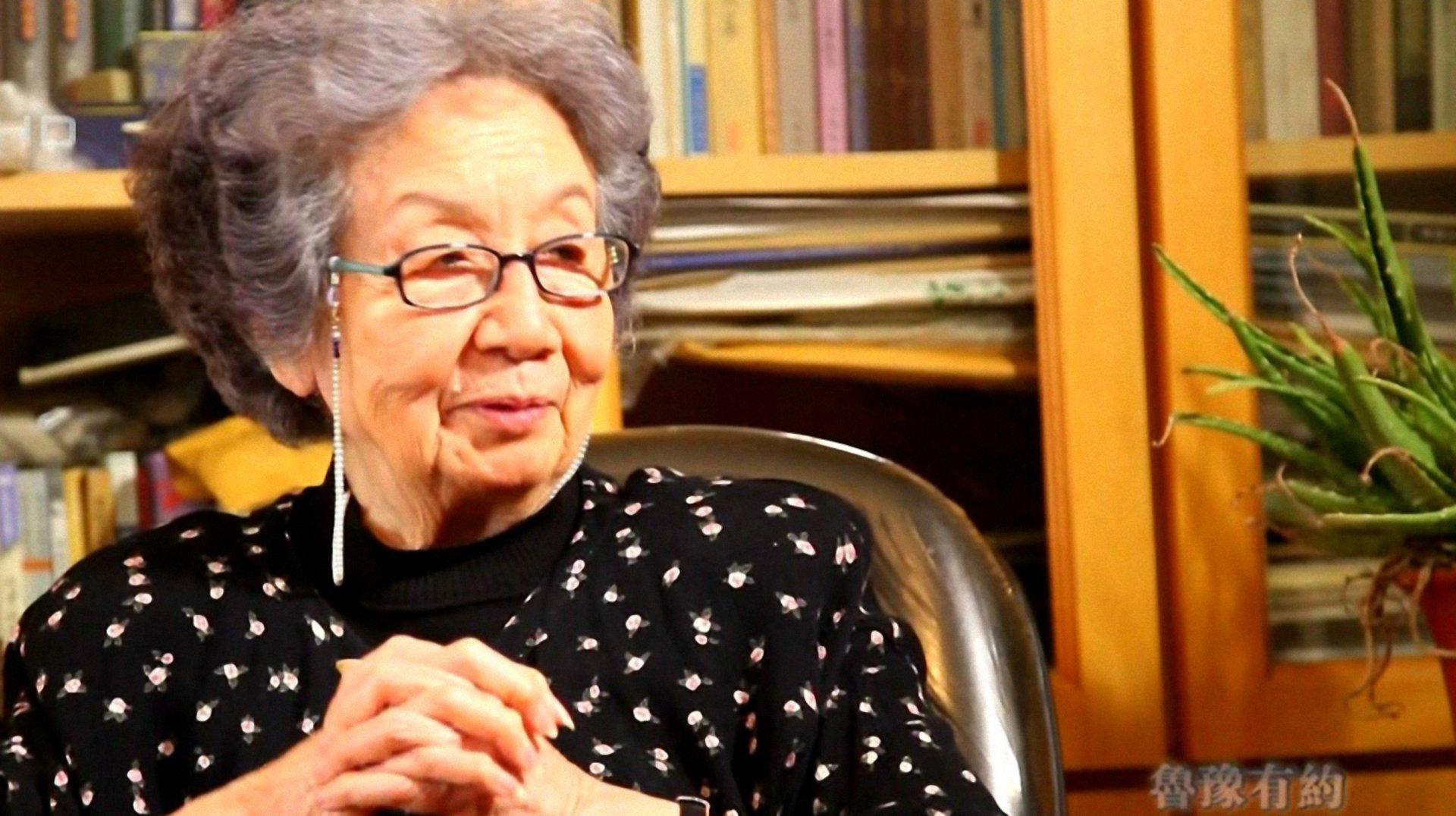 鲁豫有约 叶嘉莹·92岁穿裙子的士