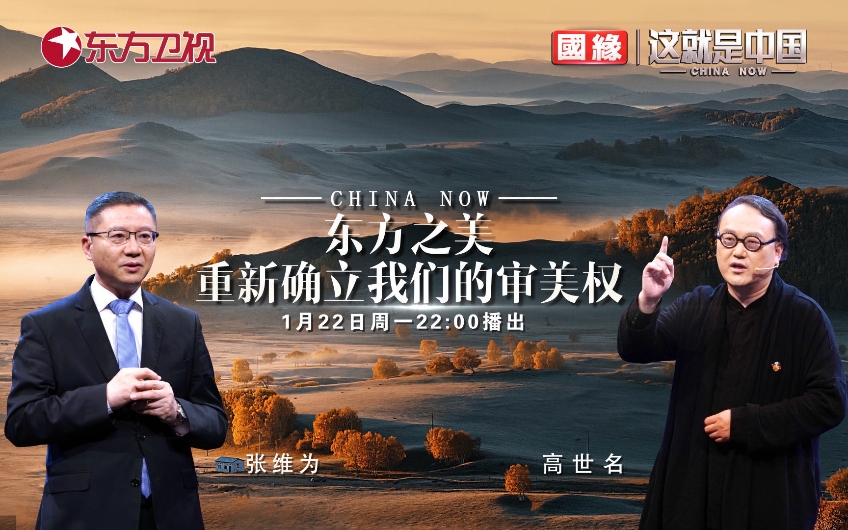 这就是中国 如何重新确立我们的审美权