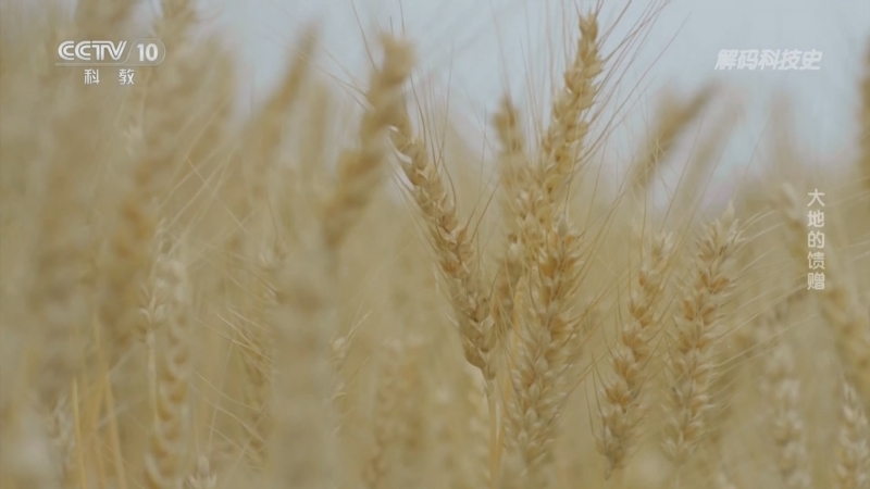 《解码科技史》 20251216 大地的馈赠