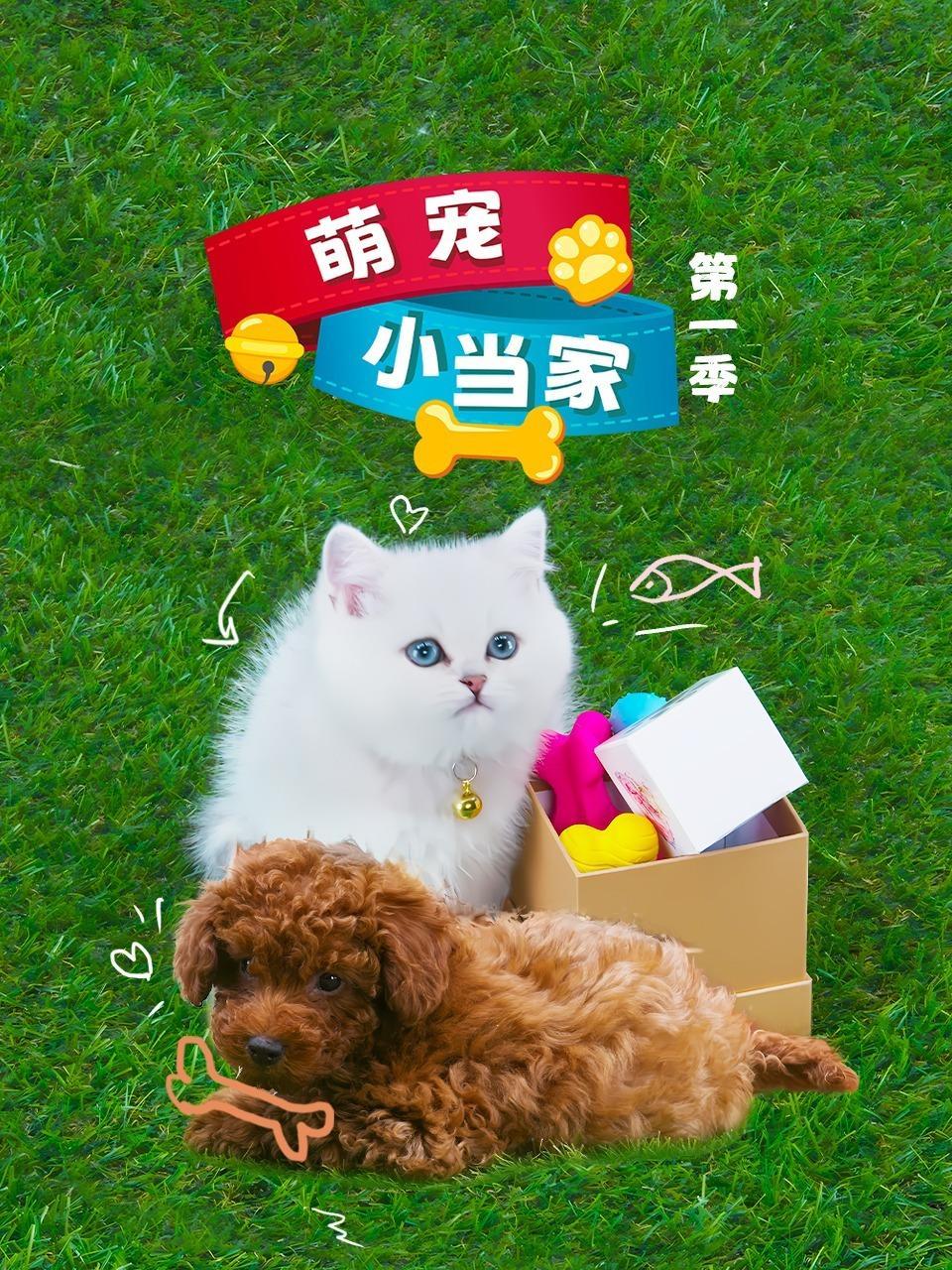 萌宠小当家 第一季 海报