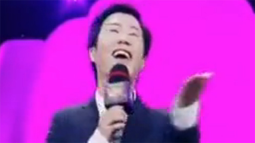 中国情歌汇 致敬经典