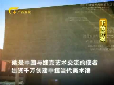走南闯北广西人 《走南闯北广西人》 20140131 民营科技企业家 宋有