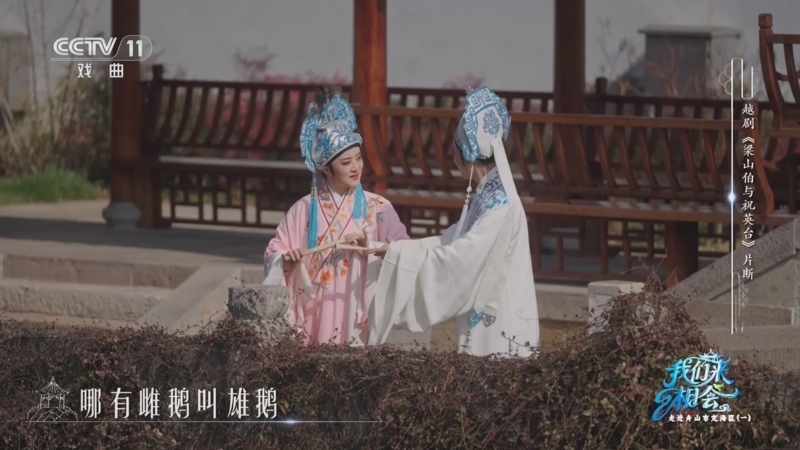 《一鸣惊人》 20260206 我们来相会 走进舟山市定海区（一）