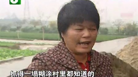 钱塘老娘舅 一经手就惹上的