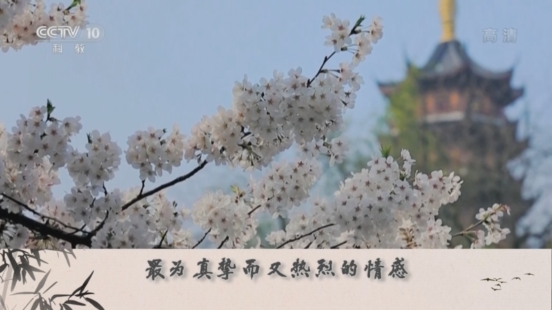 百家讲坛 《百家讲坛》 20221208 诗说先秦 千载琅琅诵诗声