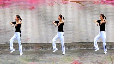 糖豆广场舞精选大众舞蹈 广场舞《为什么》