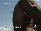 生财有道 [生财有道]神秘的汗血宝马( 20110607 )