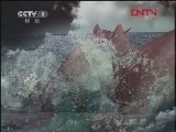 人与自然 自然故事 百年伴侣（上）[人与自然] 20120119