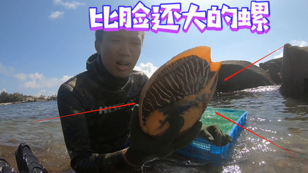 小伙潜水第一次，捞到一个比头还大的海螺，是“成精”了吗
