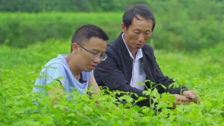 与梦想合拍 绿色“杏”福
