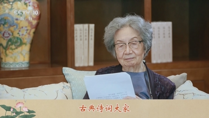 百家讲坛 《百家讲坛》 20241130 诗词大先生 4 只是征行自有诗