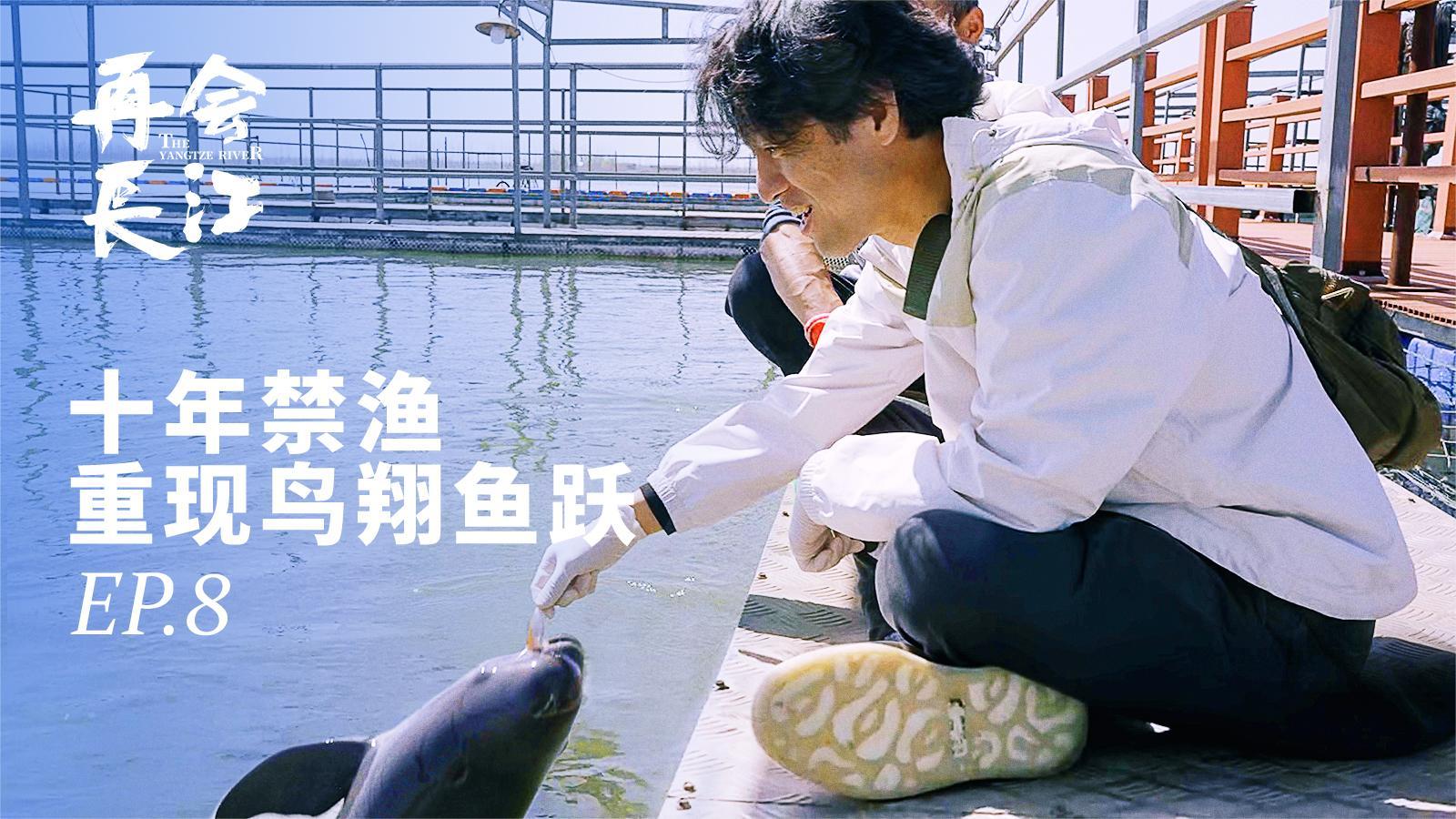 再会长江 《再会长江》第8集