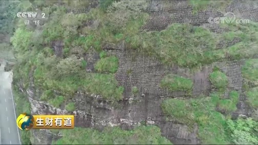 生财有道 《生财有道》 20190430 咱们家乡春天美 福建泰宁：山水林田湖 财源立体 收益多样