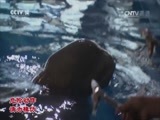 大手牵小手 《大手牵小手》 20170624