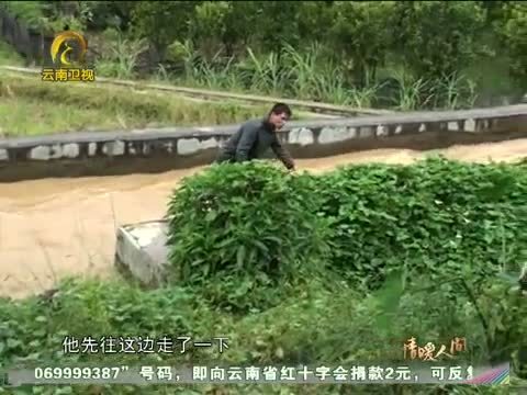 情暖人间 《情暖人间》 20120909 抉择