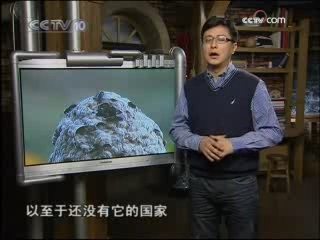 走近科学 追捕“杀人蜂”