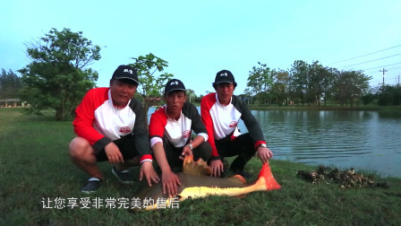 37°C斗巨物遛大鱼，双宝王者荣耀战招财