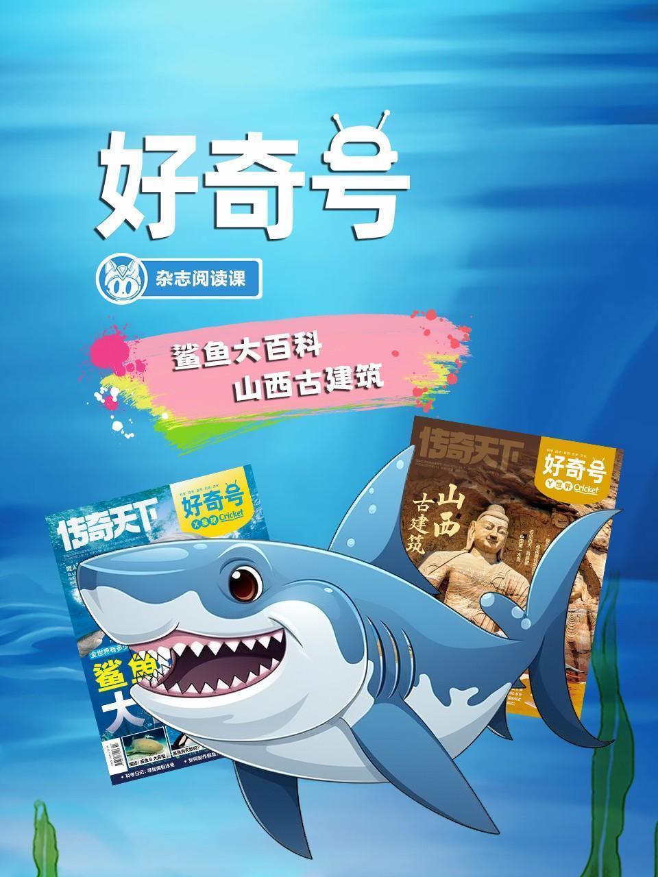 好奇号：鲨鱼大百科，山西古建筑