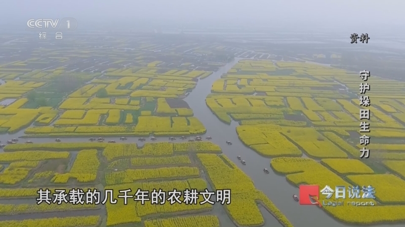 今日说法 《今日说法》 20240625 “全国土地日”特别策划 守护垛田生命力